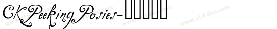 CK Peeking Posies字体转换